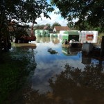 U želji da ne propadne hrana 