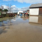 Ozbiljno ugrožena farma obitelji Krnjak