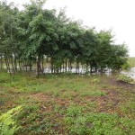 Jedno od ugroženijih mjesta u Belici (tisuće litara vode)