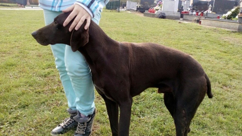 image-0-02-05-ad80370c39104285a0f833a2e05b283d77688f8e8d8640fb3265196540f52b0d-V