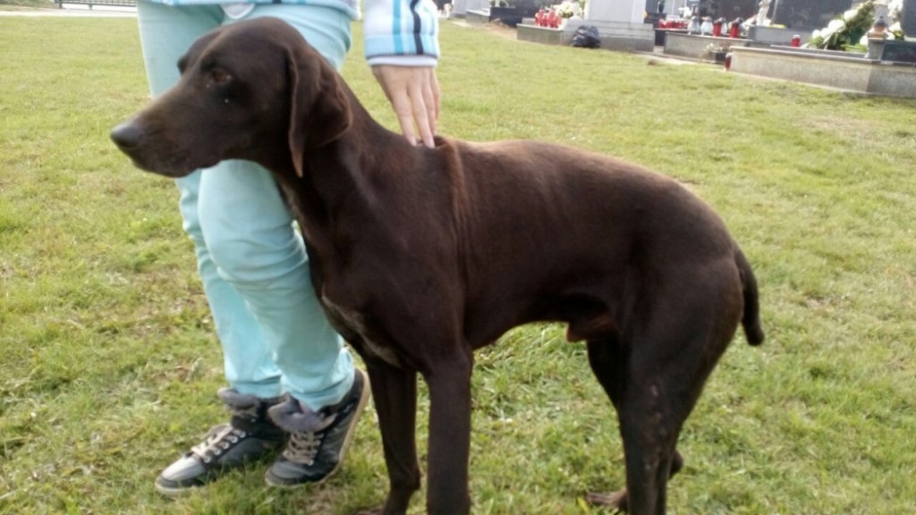 image-0-02-05-f1a34cf306e87d5f683740b1bf1c434e62497052ed764433cd318dbec56fa5a3-V