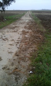 zemlja na poljskom putu