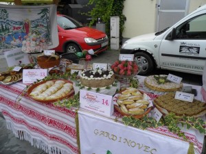 21761779_1402563456506783_5573300155259759807_n 