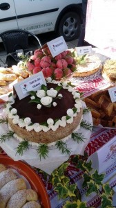 21764872_1402573183172477_7744634638365113441_n 