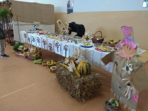 72468254_2379374065492379_2485529322593452032_n 