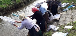 42351457_2176658399012203_854266645827289088_n