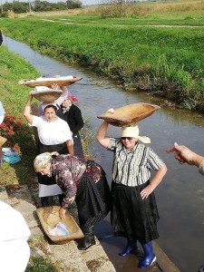 42423042_466327703887601_5693550123800330240_n