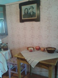 12074605_868017373294730_1492875967443092643_n 