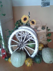 12119161_868017379961396_5350772016082277362_n  